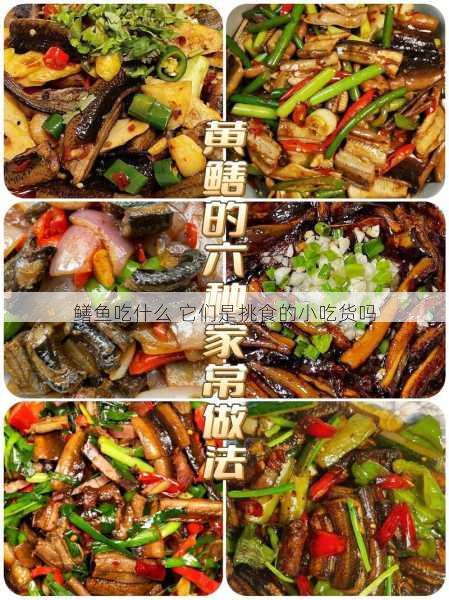 鳝鱼吃什么 它们是挑食的小吃货吗第1张-蔬菜基地绿色种植产业带 鳝鱼吃什么 它们是挑食的小吃货吗