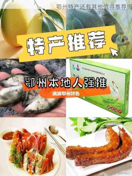 鄂州特产还有其他值得推荐吗第1张-蔬菜基地绿色种植产业带 鄂州特产还有其他值得推荐吗