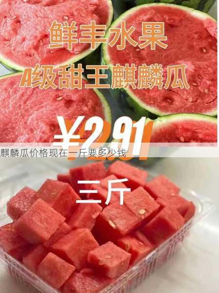 麒麟瓜价格现在一斤要多少钱第1张-蔬菜基地绿色种植产业带 麒麟瓜价格现在一斤要多少钱