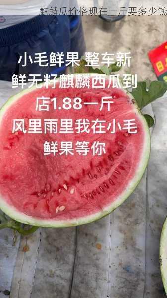 麒麟瓜价格现在一斤要多少钱第2张-蔬菜基地绿色种植产业带 麒麟瓜价格现在一斤要多少钱
