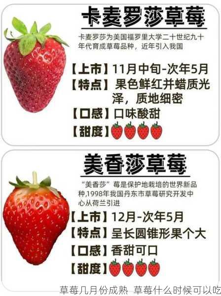 草莓几月份成熟 草莓什么时候可以吃第2张-蔬菜基地绿色种植产业带 草莓几月份成熟 草莓什么时候可以吃