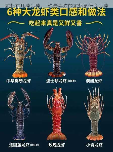 龙虾有几种品种, 你最喜欢的龙虾是什么品种第1张-蔬菜基地绿色种植产业带 龙虾有几种品种, 你最喜欢的龙虾是什么品种